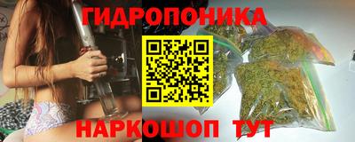 прущие грибы Комсомольск-на-Амуре