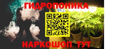 прущие грибы Комсомольск-на-Амуре