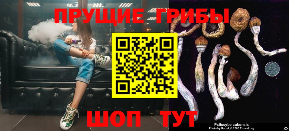 даркнет сайт  Вход с VPN  Биробиджан  Псилоцибиновые грибы Magic Shrooms 