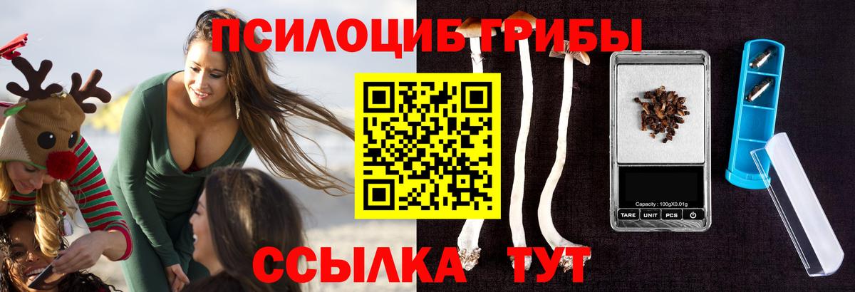 Псилоцибиновые грибы мухоморы Биробиджан